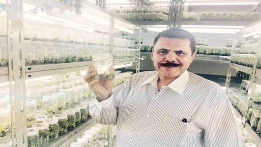  أحمد أبواليزيد أستاذ الزراعة