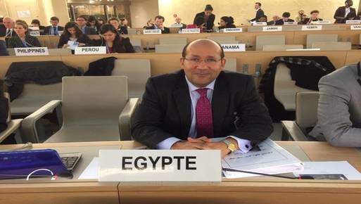  السفير هشام بدر مساعد وزير الخارجية لشؤون متعددة الأطراف والأمن الدولي