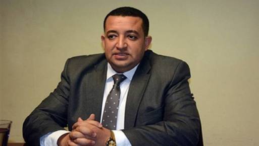 النائب تامر عبدالقادر عضو مجلس النواب 