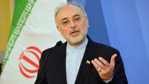 رئيس منظمة الطاقة الذرية الإيرانية علي أكبر صالحي