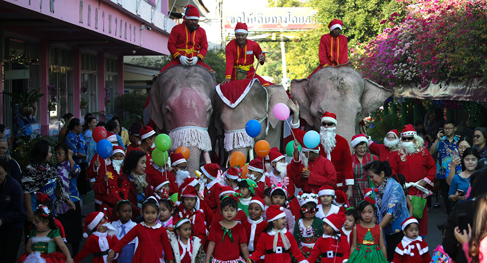 أفيال توزع الهدايا في تايلاند 