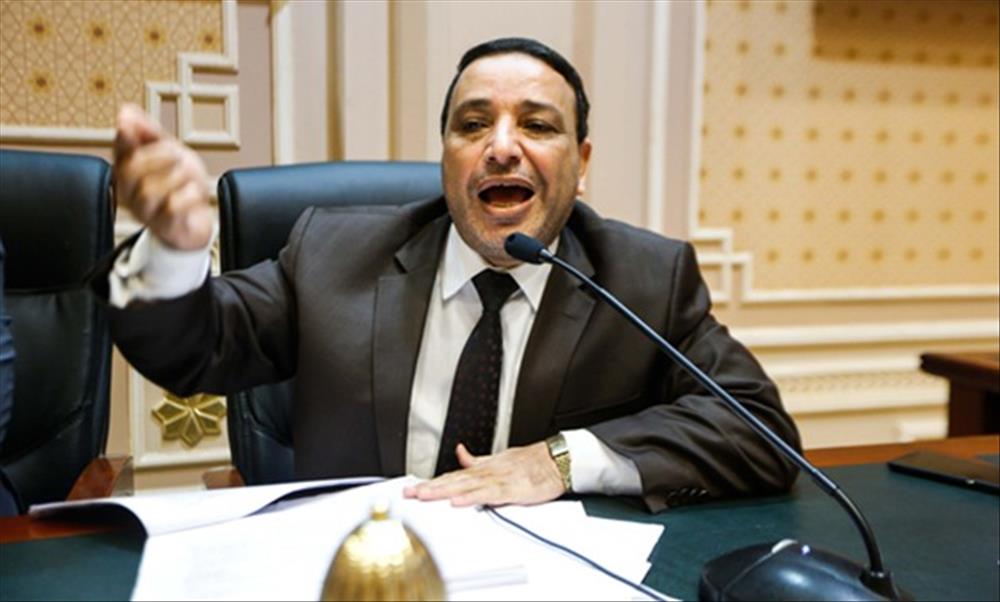 النائب عادل بدوى، عضو مجلس النواب