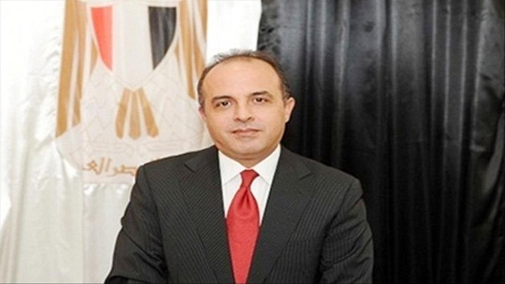 السفير المصري بالإمارات وائل جاد
