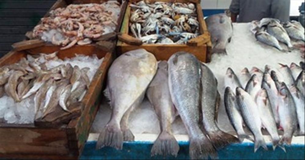 تعرف على أسعار الأسماك في سوق العبور