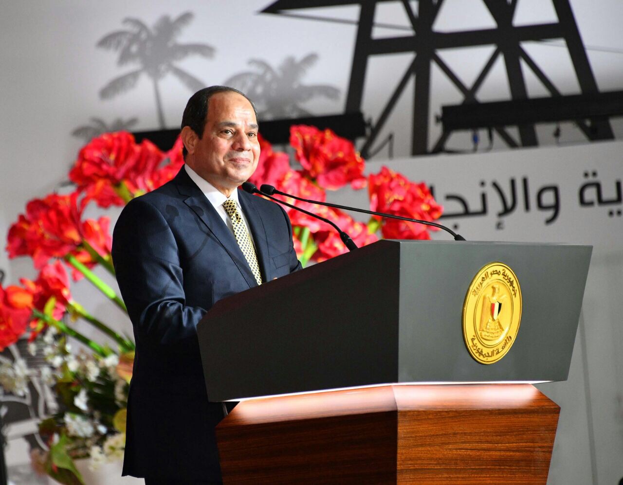 الرئيس عبد الفتاح السيسي خلال مؤتمر حكاية وطن