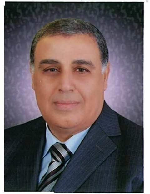 ابراهيم الشحات عضو المجلس التصديري للكيماويات