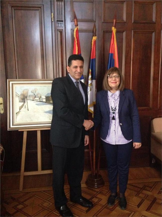  رئيسة البرلمان الصربي خلال لقائها بالسفير المصري