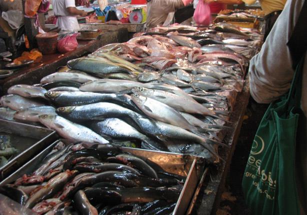 أسواق الأسماك -صورة أرشيفية 