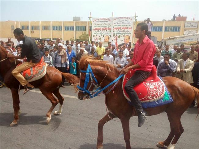 بالخيول والطبل.. أهالي سفاجا يحتفلون أمام اللجان الانتخابية 