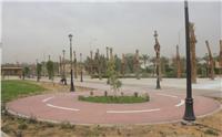 حدائق محور جمال عبدالناصر