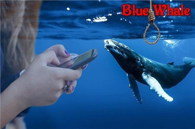 الحوت الأزرق
