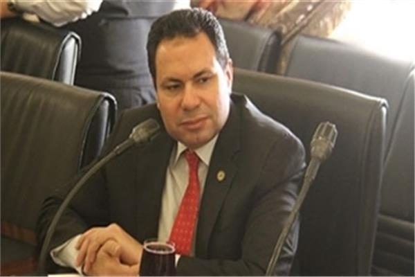 النائب هشام الحصرى وكيل لجنة الزراعة بمجلس النواب
