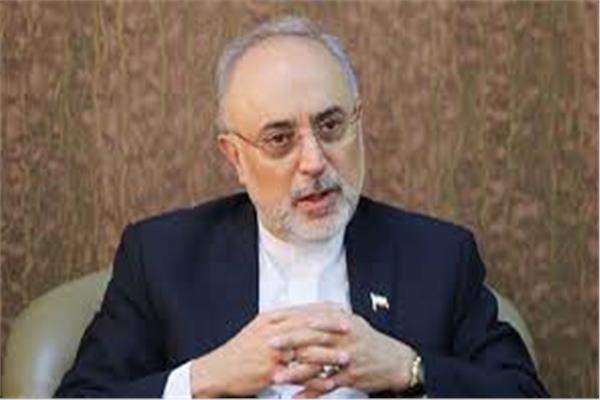 رئيس منظمة الطاقة الذرية الإيرانية - أكبر صالحي