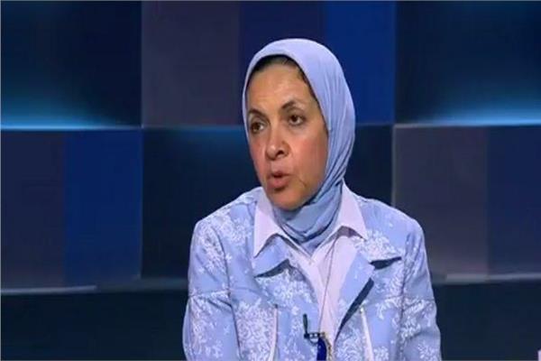 الدكتورة يمنى الحماقي  أستاذ الاقتصاد بجامعة عين شمس