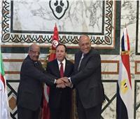مصر وتونس والجزائر يؤكدون رفضهم التدخل الخارجي في ليبيا