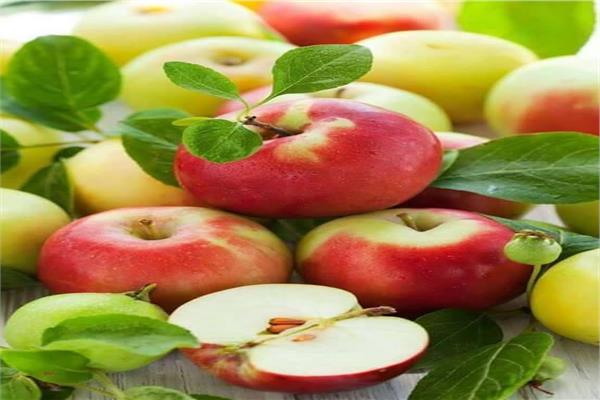 تعرف على التوصيات الفنية لزيادة اإنتاج «حدائق التفاح»