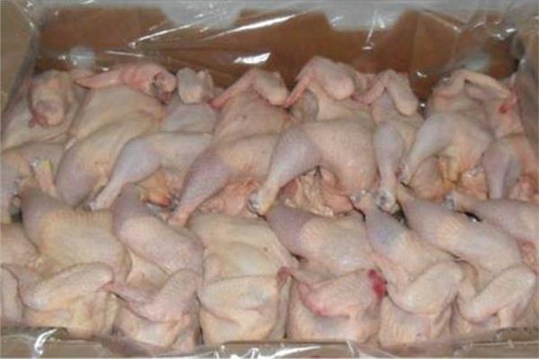 ضبط كميات الدجاج الفاسد بالإسكندرية