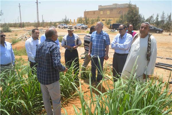 محافظ المنيا يناقش تجربة زراعة قصب السكر بالأراضي الصحراوية 