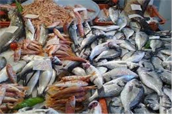 نرصد أسعار الأسماك في سوق العبور خلال أول أيام العيد