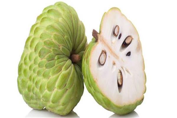 8 نصائح لزيادة إنتاج «الفاكهة المتساقطة» وحمايتها من الآفات