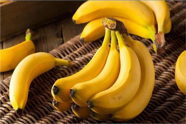 9 نصائح لمزارعي «الموز» لحمايته من الآفات