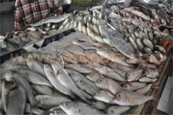 أسعار الأسماك في سوق العبور