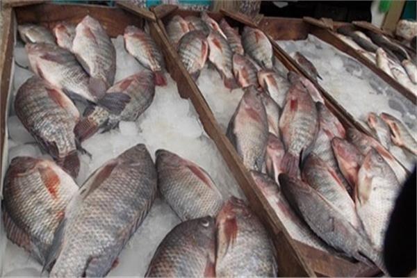نرصد أسعار الأسماك في سوق العبور اليوم الأحد