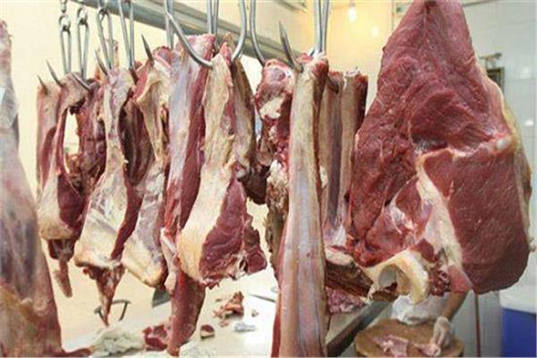 ​ننشر «أسعار اللحوم» بالأسواق اليوم
