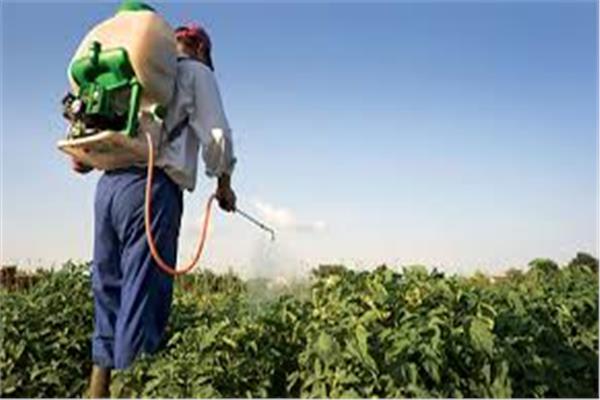 «الزراعة» تواصل تطبيق المنظومة الجديدة للرقابة على أسواق المبيدات