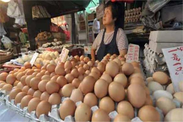 شعبة الدواجن تكشف حقيقة انتشار البيض الصيني 