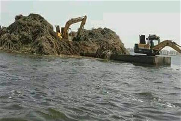 وزارة الزراعة تواصل تطهير بحيرة البرلس| صور