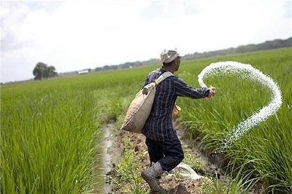 «الزراعة» هناك خلل في منظومة الأسمدة...والاعتراف خطوة في طريق الإصلاح