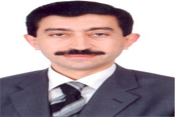 المدير التنفيذى للغرفة المهندس خالد البحيري