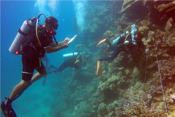 وزارة البيئة تنظيم دورة «الغواص البيئي» للعاملين بالمحميات البحرية