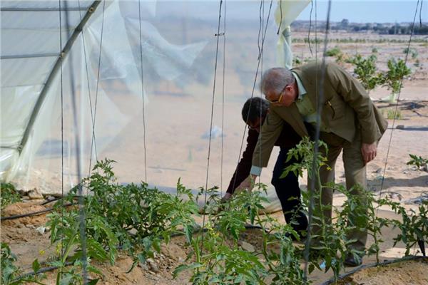 محافظ جنوب سيناء يتفقد أحد المشروعات الزراعية