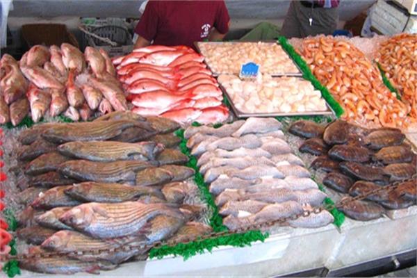 استقرار «أسعار الأسماك» في سوق العبور اليوم