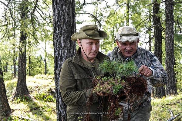 بوتين يقضي أجازته وسط الطبيعة في سيبريا