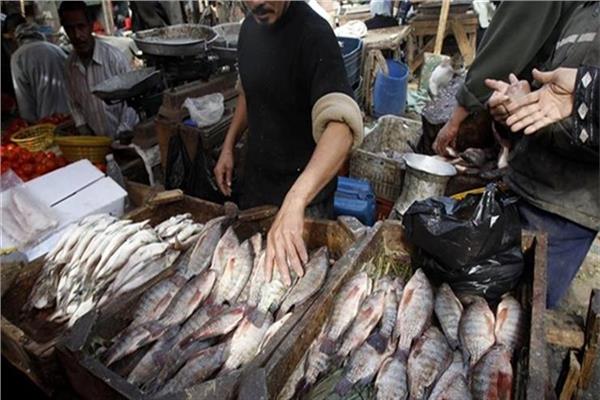 «أسعار الأسماك» في سوق العبور اليوم
