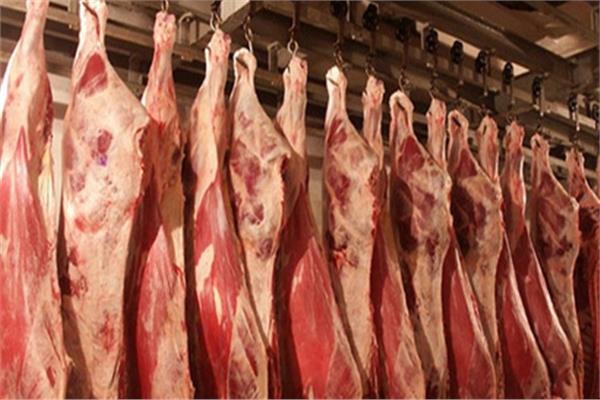 استقرار أسعار اللحوم بالأسواق المحلية 