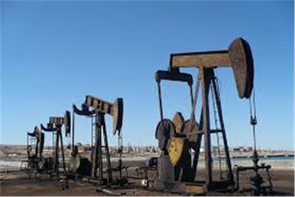رئيس بترول أبو قير: 58% زيادة في إنتاج الشركة من الغاز والزيت -أرشيفية