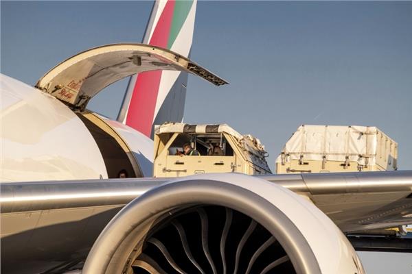 وصول 550 خيلاً عبر 34 رحلة جوية على متن «طيران الإمارات»