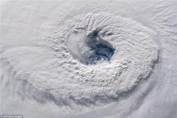 إعصار فلورانس