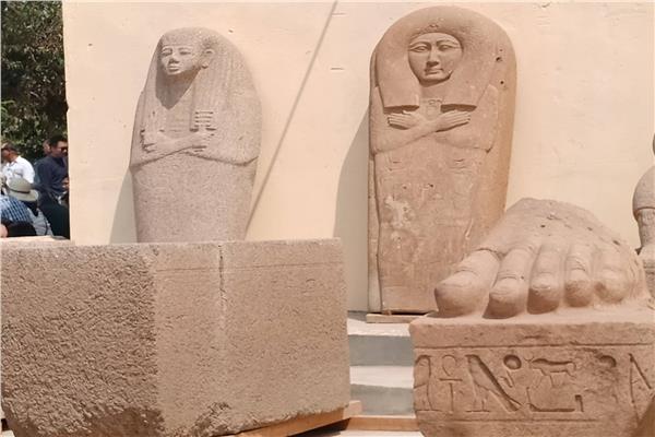 باحث مصريات: «صان الحجر» أهم مدينة أثرية في الدلتا