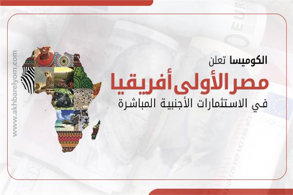  الكوميسا تعلن مصر الأولى أفريقيا في الاستثمارات الأجنبية المباشرة