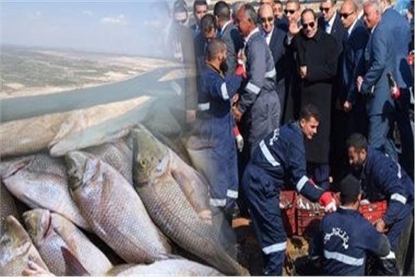 رؤية مصر2020| طفرة حقيقة في «الاستزراع السمكي» بـ2.3 مليون طن سنويا