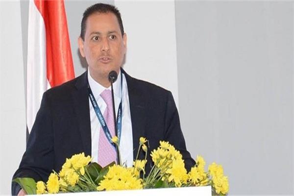 رئيس الهيئة العامة للرقابة المالية محمد عمران