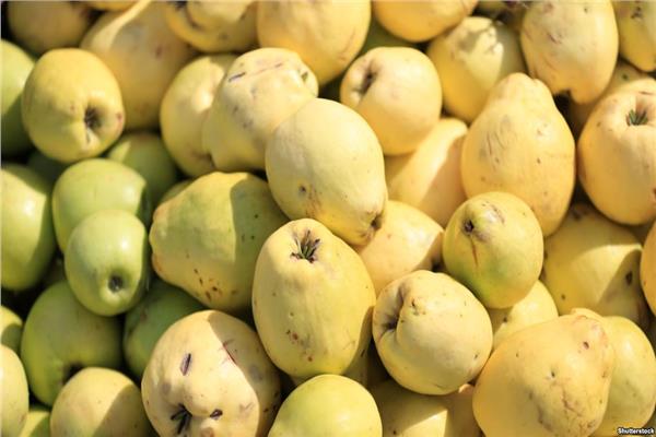 الزراعة: رفع الحظر عن صادرات الجوافة المصرية إلى السعودية