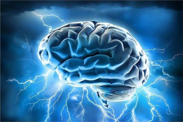 تطوير تقنية لمحو وزراعة الذاكرة بالدماغ البشري !!