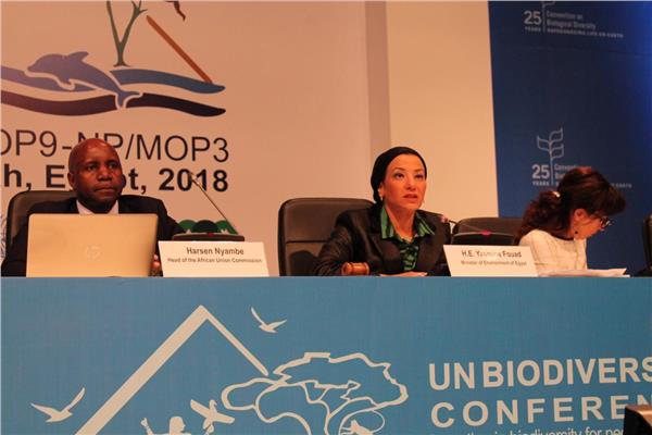 مؤتمر الأمم المتحدة للتنوع البيولوجي يوافق على خطة مصر