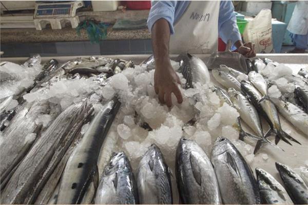 أسعار الأسماك في سوق العبور اليوم ١٤ نوفمبر